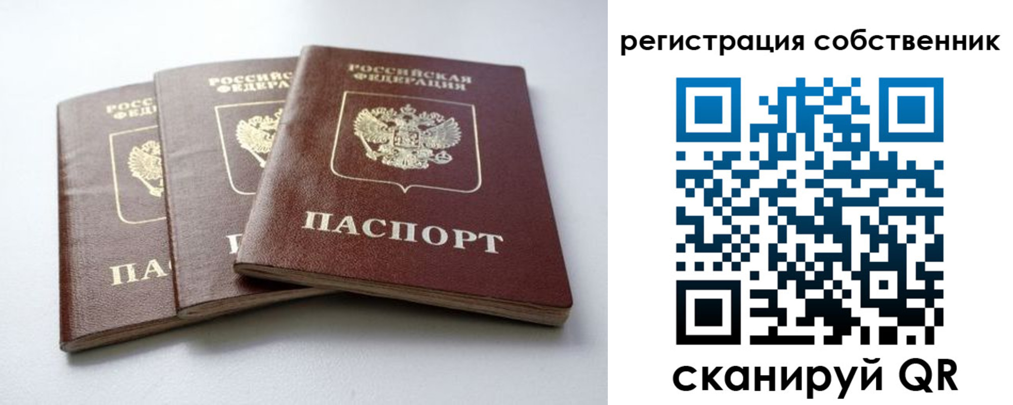 прописка для школы в Плавске